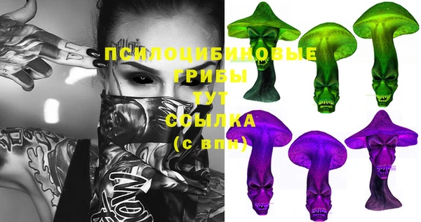 а пвп мука Богданович