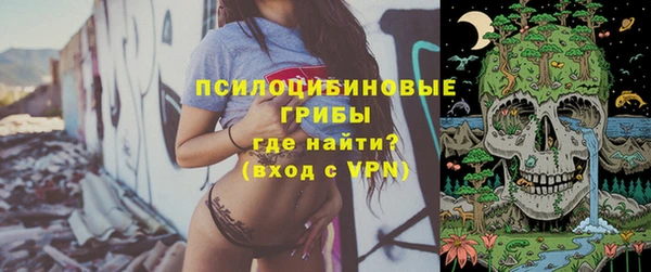 а пвп мука Богданович