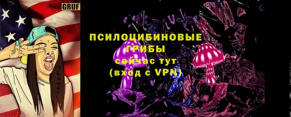 а пвп мука Богданович