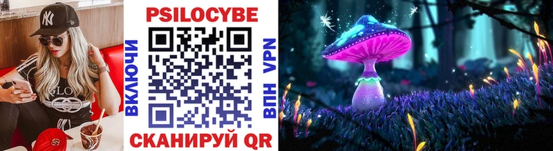 Галлюциногенные грибы Psilocybe blacksprut как зайти Малоярославец
