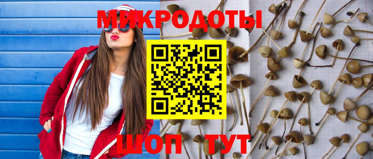 Галлюциногенные грибы Cubensis Малоярославец